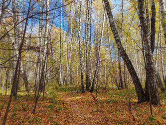 Similar image 22315856