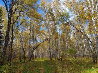 Similar image 22315859