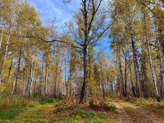 Similar image 22315860