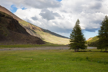 Similar image 22299055