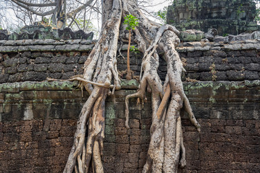 Similar image 22298341