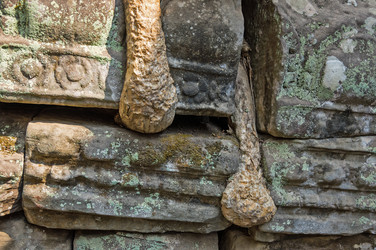 Similar image 22298344