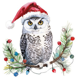 Similar image 22297370