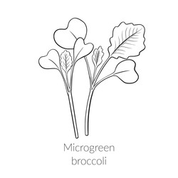 Similar image 22302941