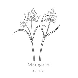 Similar image 22302943