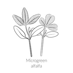 Similar image 22302969