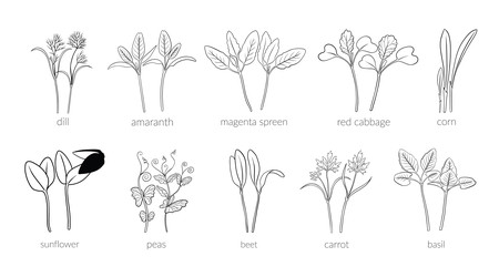 Similar image 22302970