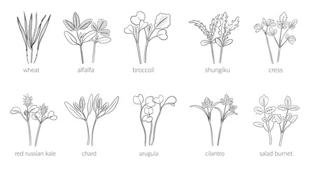 Similar image 22302973