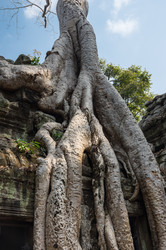 Similar image 22298352