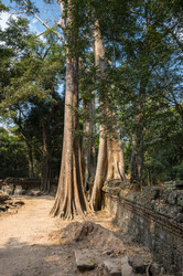 Similar image 22298353