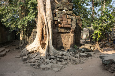 Similar image 22298355