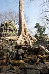 Similar image 22298356