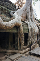 Similar image 22298357