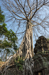 Similar image 22298358