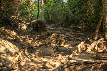 Similar image 22298460