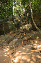 Similar image 22298461