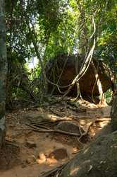 Similar image 22298462