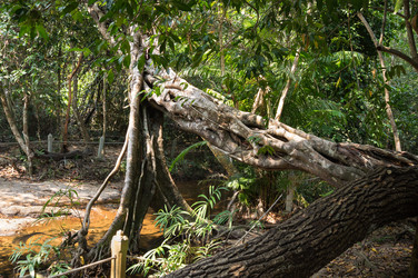 Similar image 22298463