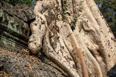 Similar image 22298476