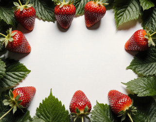 Similar image 22310682