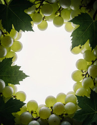 Similar image 22310749