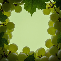 Similar image 22310754