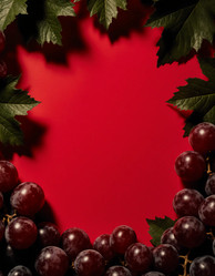 Similar image 22310758