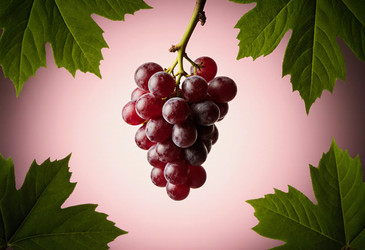 Similar image 22310760