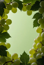 Similar image 22317618