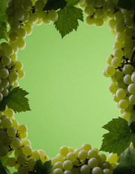 Similar image 22317619