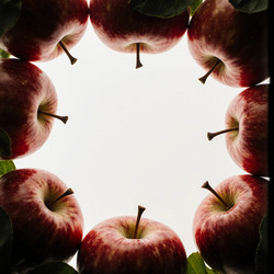 Similar image 22317626