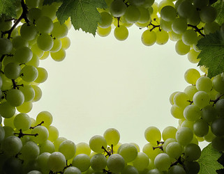 Similar image 22317628