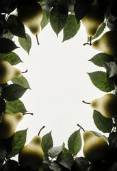 Similar image 22317629