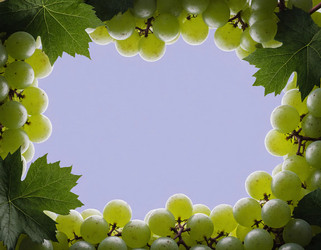 Similar image 22317632