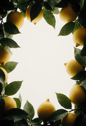 Similar image 22317633