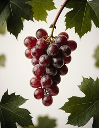 Similar image 22290897