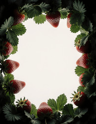 Similar image 22290899