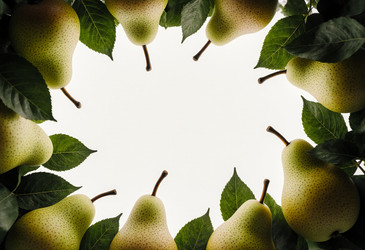 Similar image 22290900