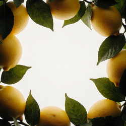 Similar image 22290903