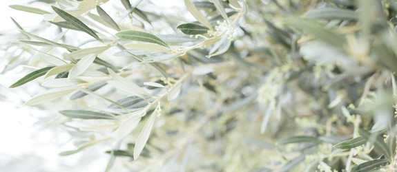 Similar image 22289983