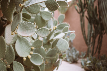 Similar image 22289988