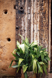 Similar image 22289998