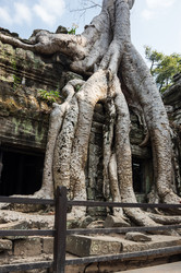 Similar image 22299223