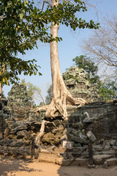 Similar image 22299398