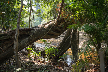 Similar image 22299410