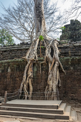 Similar image 22299417