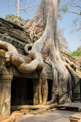 Similar image 22299418