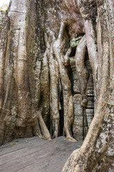 Similar image 22299419