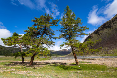 Similar image 22299578