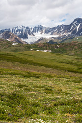 Similar image 22298821